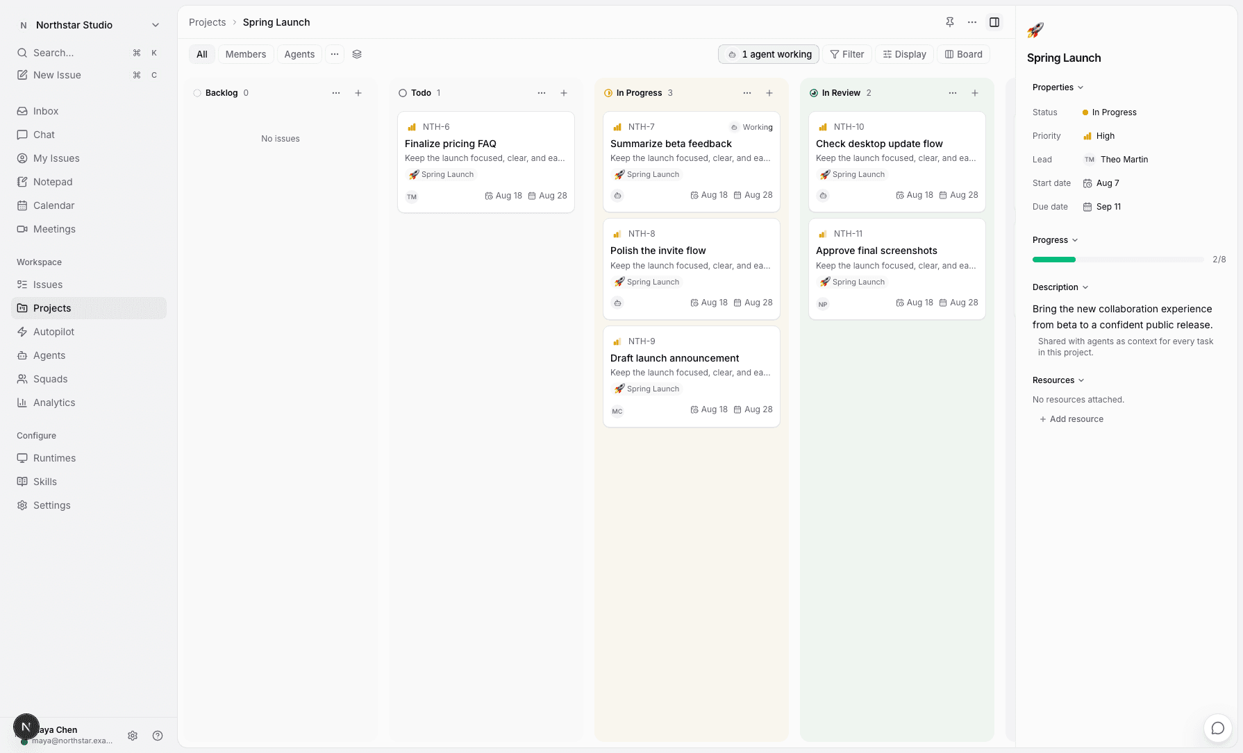 Project detail: issues grouped by status, progress, and the project description